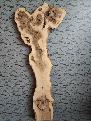 Plateau de loupe de frêne olivier - FO60