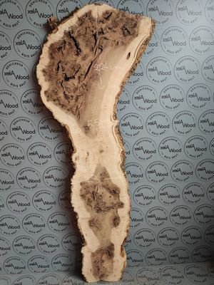 Loupe de frêne olivier - FO64 Loupe de frêne olivier - FO64