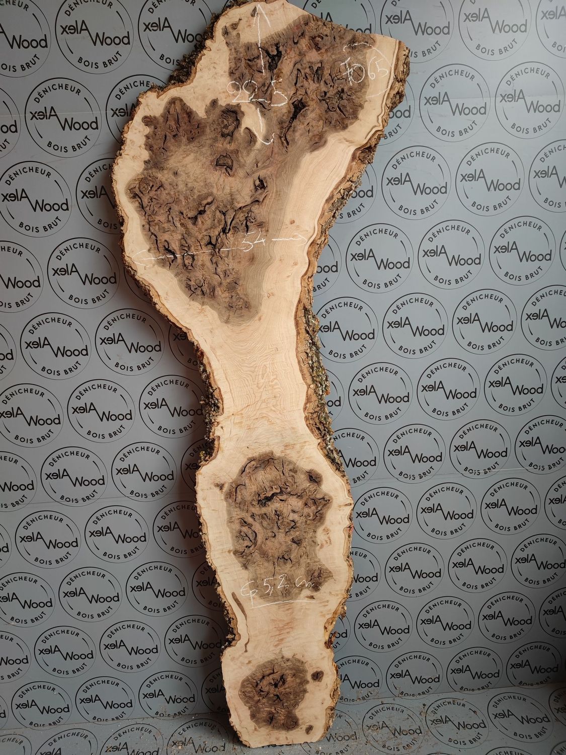 Plateau de loupe de frêne olivier - FO65