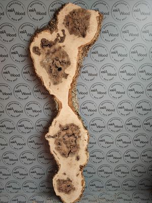 Plateau de loupe de frêne olivier - FO66
