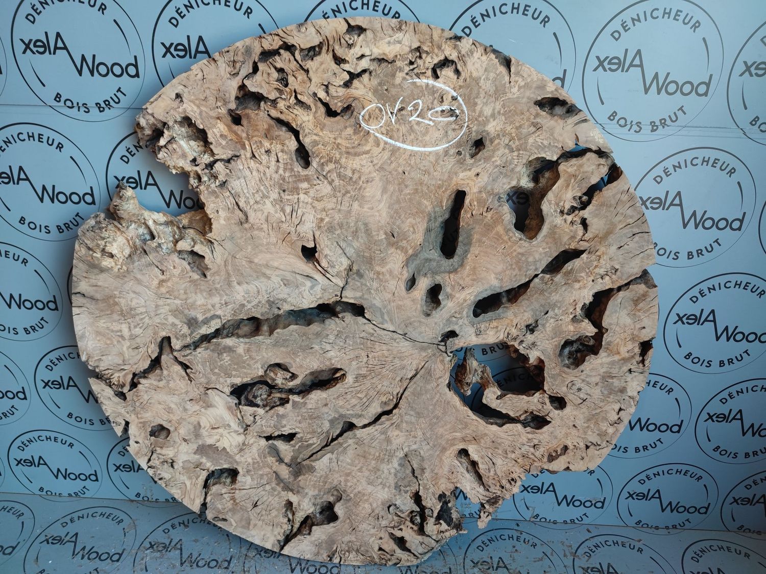 Disque bois d'olivier idéal résine époxy - OV20
