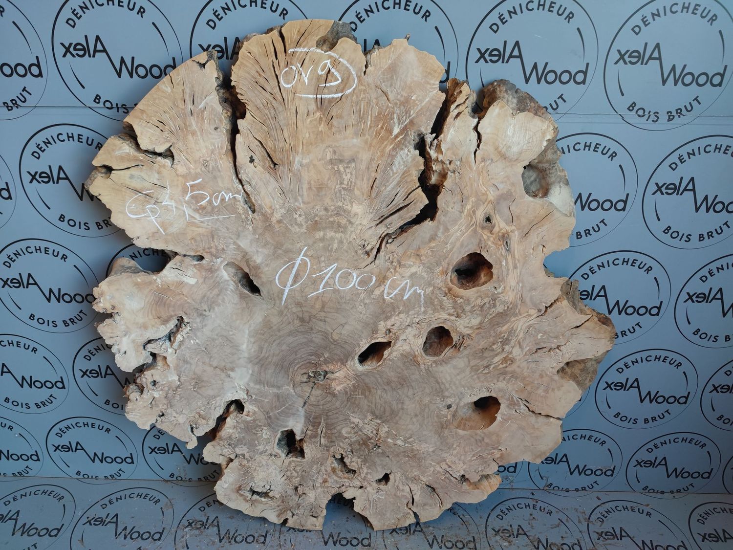 Magnifique disque bois d'olivier idéal résine époxy - OV9