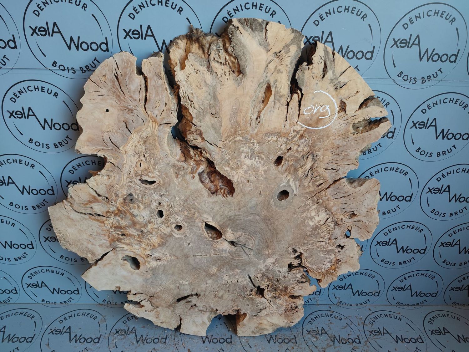 Magnifique disque bois d'olivier idéal résine époxy - OV9