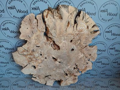 Magnifique disque bois d'olivier idéal résine époxy - OV9 Magnifique disque bois d'olivier idéal résine époxy - OV9