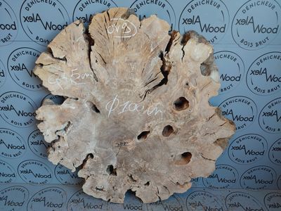Magnifique disque bois d'olivier idéal résine époxy - OV9