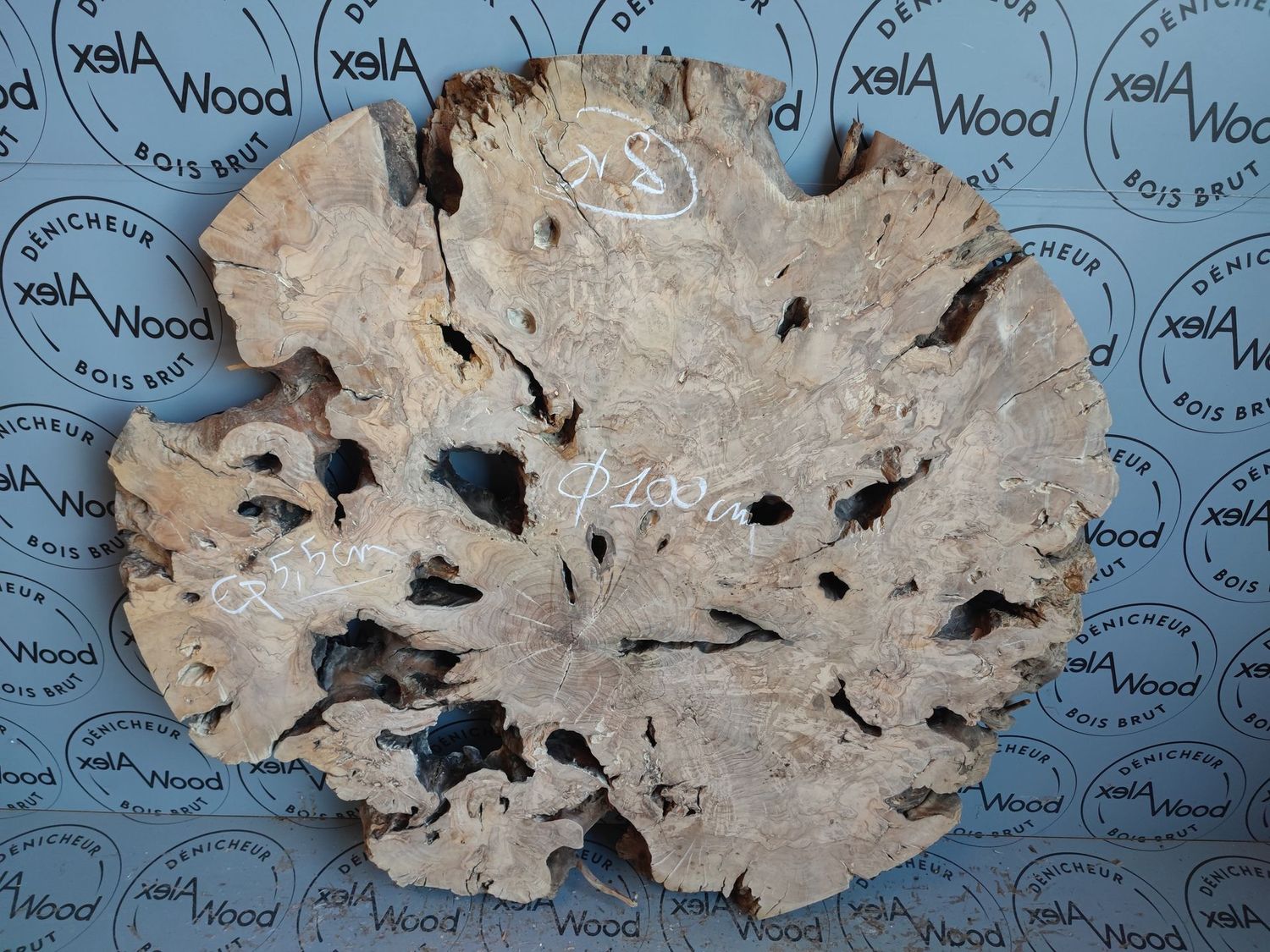 Disque de bois d'olivier - OV8
