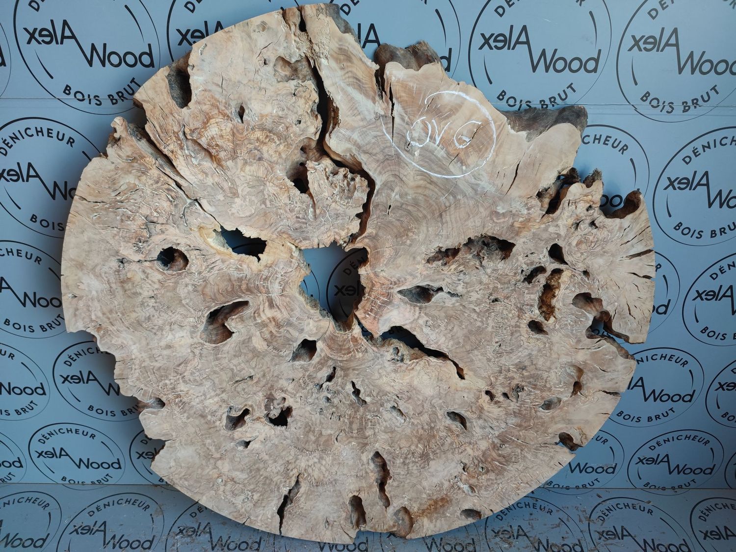 Disque de bois d'olivier idéal table résine époxy - OV6