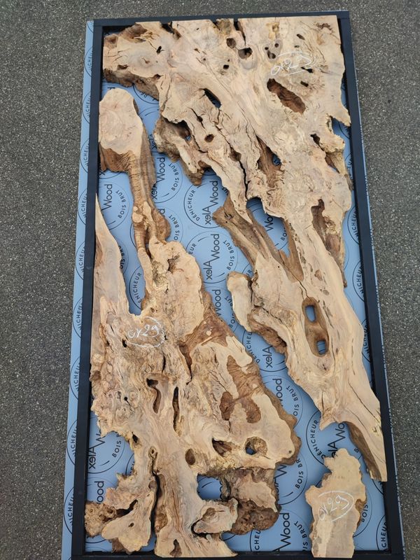 3 Plateaux d’Olivier Brut pour Table Rivière – OV29