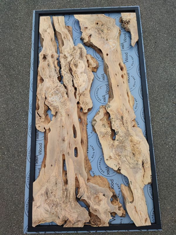 Plateaux d’Olivier pour Création Bois Résine – Lot de 3 – OV28