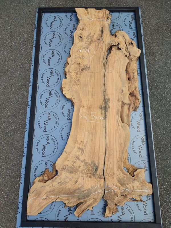 Plateau d'olivier XXL idéal pour table résine époxy - OV44