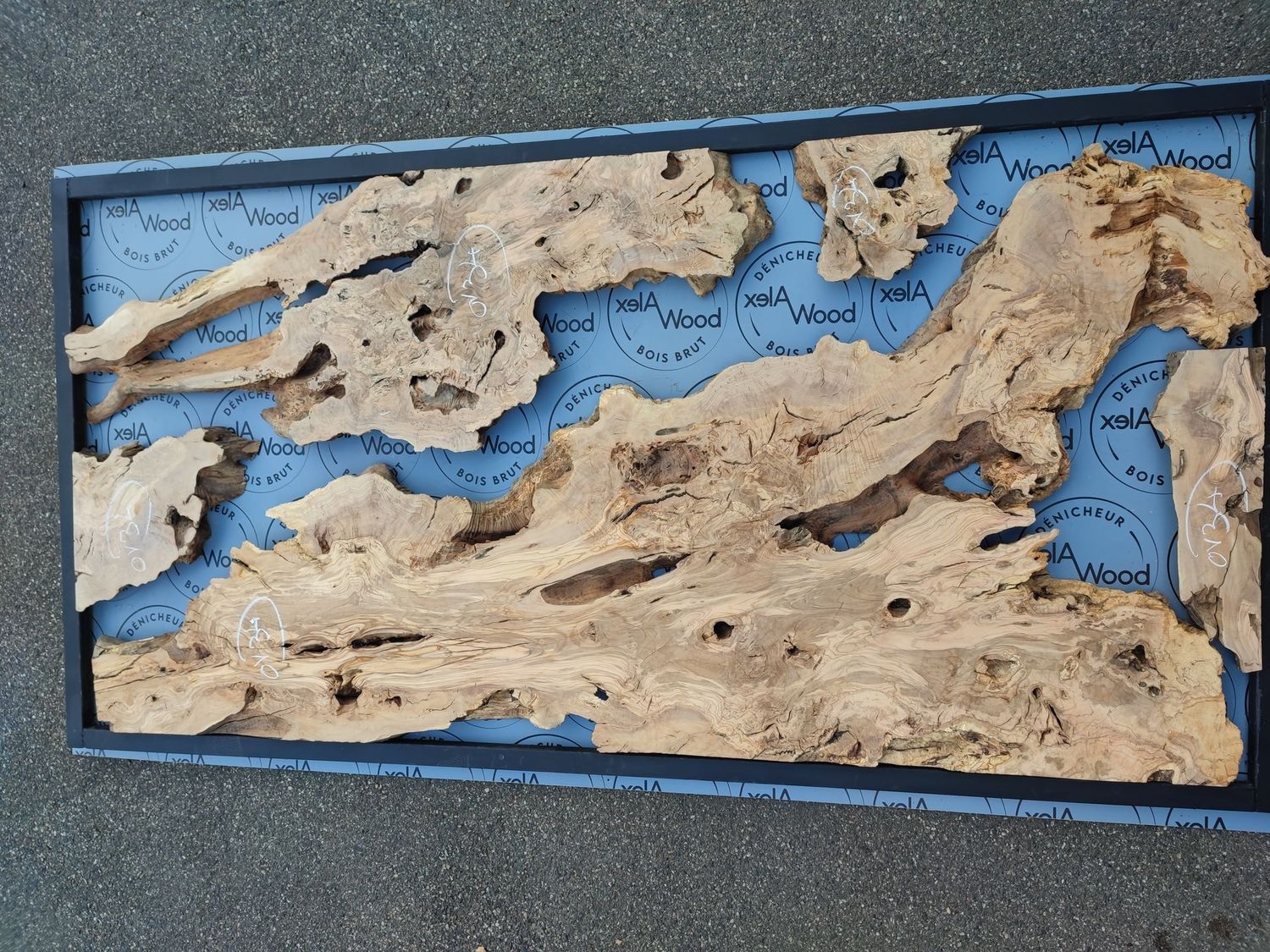 OV34 - 5 Plateaux d'olivier bords naturels