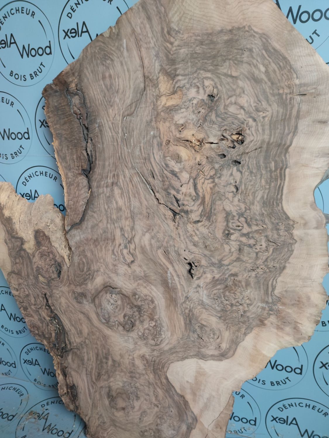 Plateau loupe de noyer noir - N374BOIS