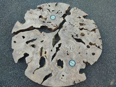 Rondelle de bois d’olivier – Bords bruts et teintes miel – Pièce unique OV48