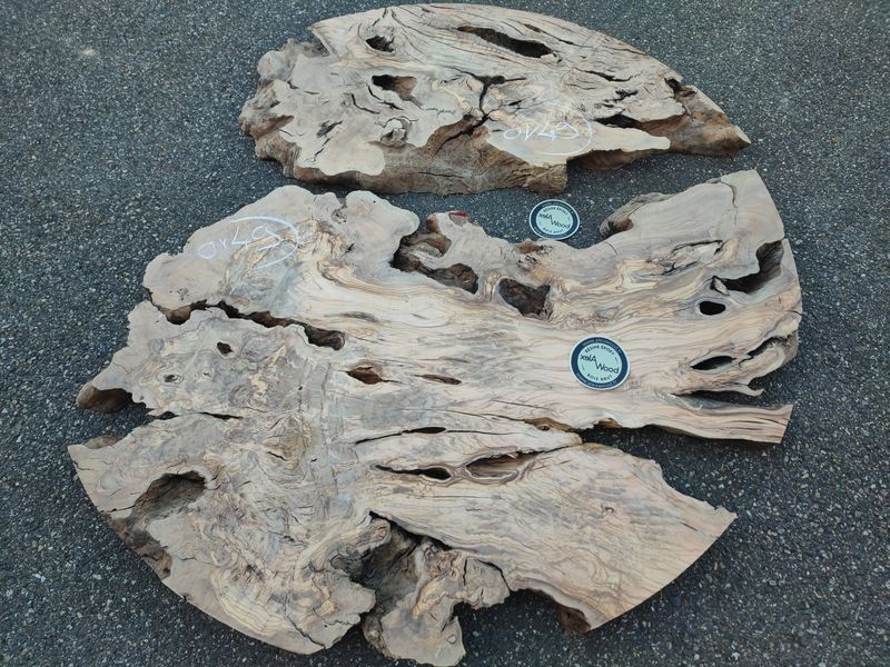 Rondelle de bois d’olivier – Veinage contrasté – Pièce unique OV49
