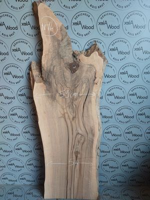 Plateau en noyer massif – Forme naturelle et veinage prononcé – Pièce unique NY4