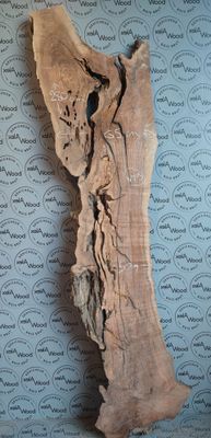 Plateau en noyer noir massif – Bords bruts irréguliers et veinage marqué Plateau en noyer noir massif – Bords bruts irréguliers et veinage marqué