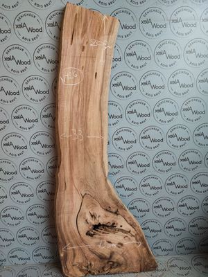 Plateau en noyer massif – Édition originale NY26 – Élégance naturelle pour créations design