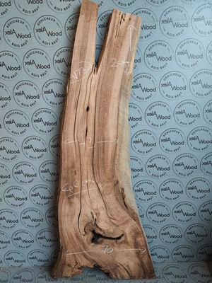 Plateau en noyer massif – Pièce rare – Élégance naturelle et caractère brut Plateau en noyer massif – Pièce rare – Élégance naturelle et caractère brut