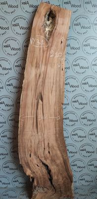 Plateau en noyer massif  – Bois noble et formes naturelles