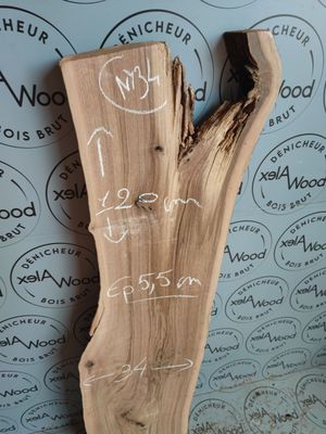 Plateau en noyer massif – Charme naturel et lignes organiques