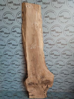 ​Plateau en noyer massif raboté — base idéale pour vos projets DIY