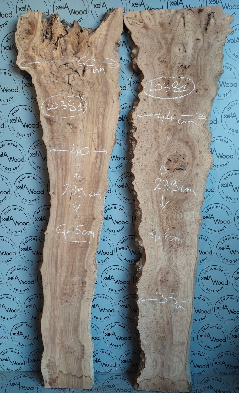 Lot de 2 superbes plateaux de loupe d'orme idéal table résine époxy - LO381 Lot de 2 superbes plateaux de loupe d'orme idéal table résine époxy - LO381