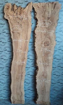 Lot de 2 superbes plateaux de loupe d'orme idéal table résine époxy - LO381 Lot de 2 superbes plateaux de loupe d'orme idéal table résine époxy - LO381