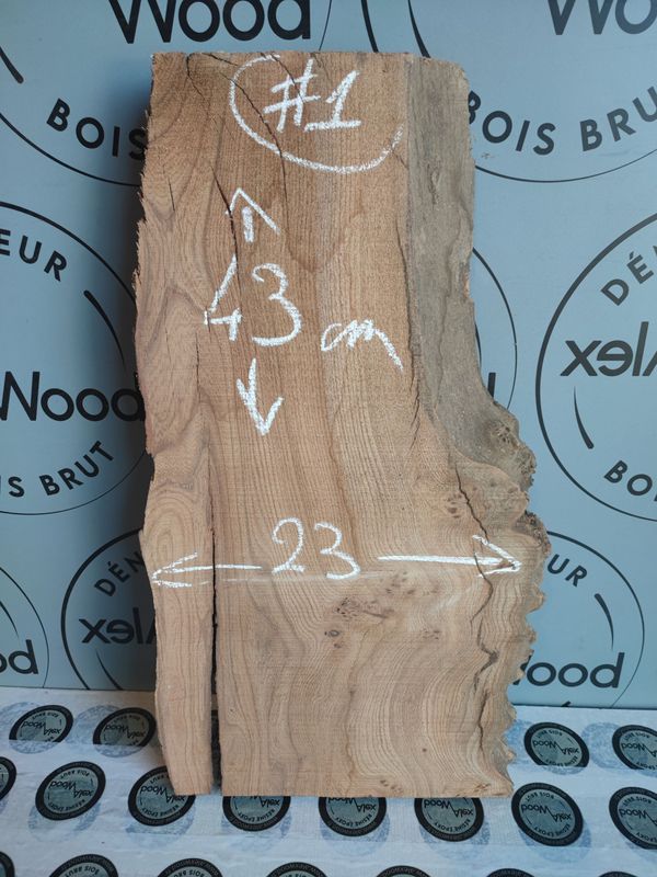 Petite planche en loupe d’orme – Bois brut – Pièce unique