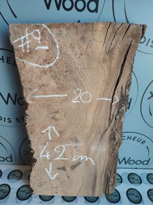Planche en loupe d’orme brute parfaite pour vos créations artisanales Planche en loupe d’orme brute parfaite pour vos créations artisanales
