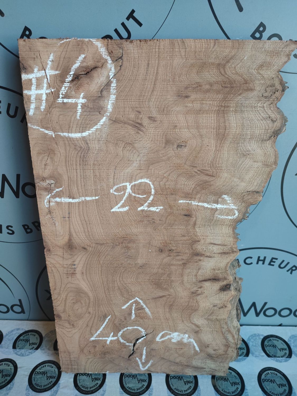 Petite planche de loupe d'orme