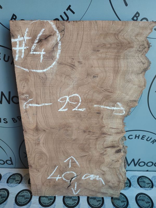 Petite planche de loupe d'orme