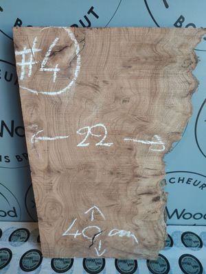 Petite planche de loupe d'orme Petite planche de loupe d'orme