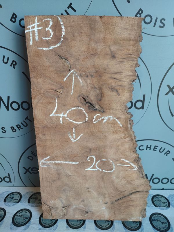 Planche en loupe d’orme brute – Bord live edge – Pièce unique