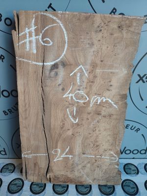 Petite planche en loupe d’orme - Bois brut pour créations et cadeaux faits main Petite planche en loupe d’orme - Bois brut pour créations et cadeaux faits main