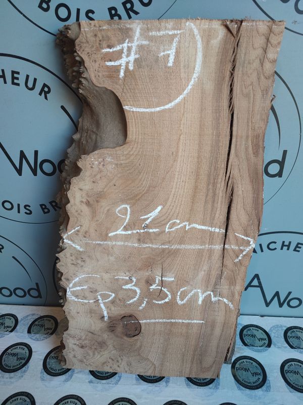 Planche loupe d’orme - Bois brut