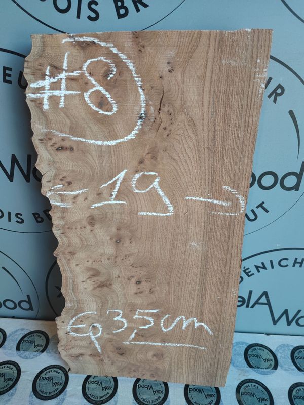 Planche artisanale loupe d’orme – Bois brut