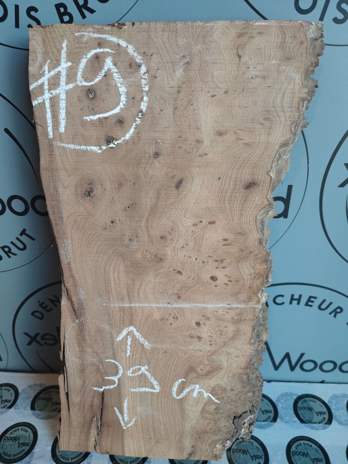 Planche loupe d’orme – Création & DIY