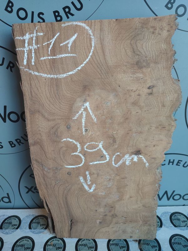 Loupe d’orme – Mini planche brute