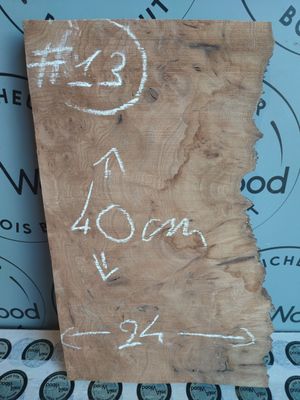 Mini planche loupe d’orme – Bois brut Mini planche loupe d’orme – Bois brut