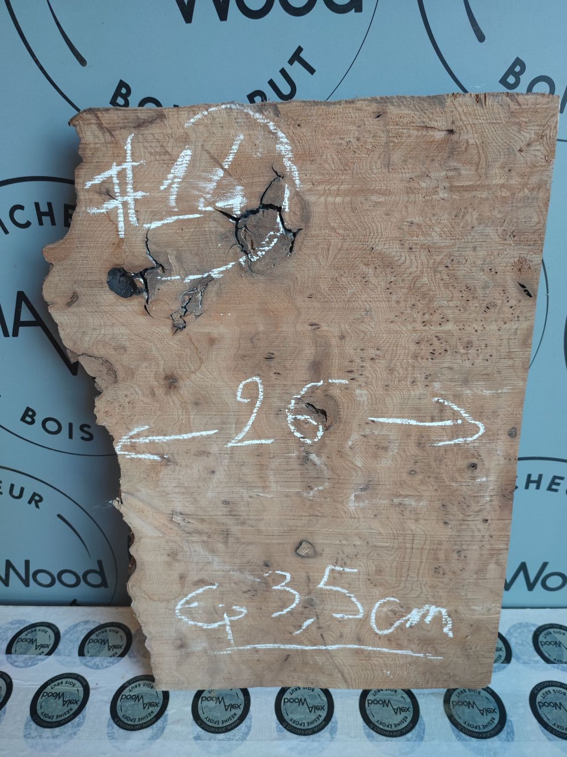 Planche loupe d’orme – Support créatif