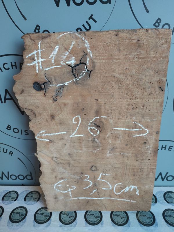 Planche loupe d’orme – Support créatif