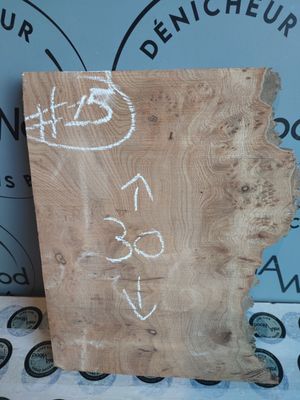 Planche loupe d’orme – Création artisanale