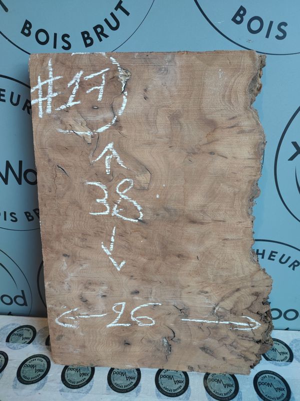 Planche loupe d’orme – Création & DIY