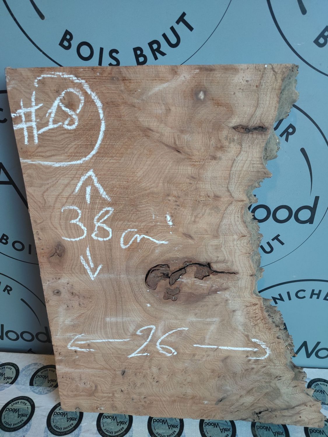 Planche loupe d’orme – Bois brut pour artisanat