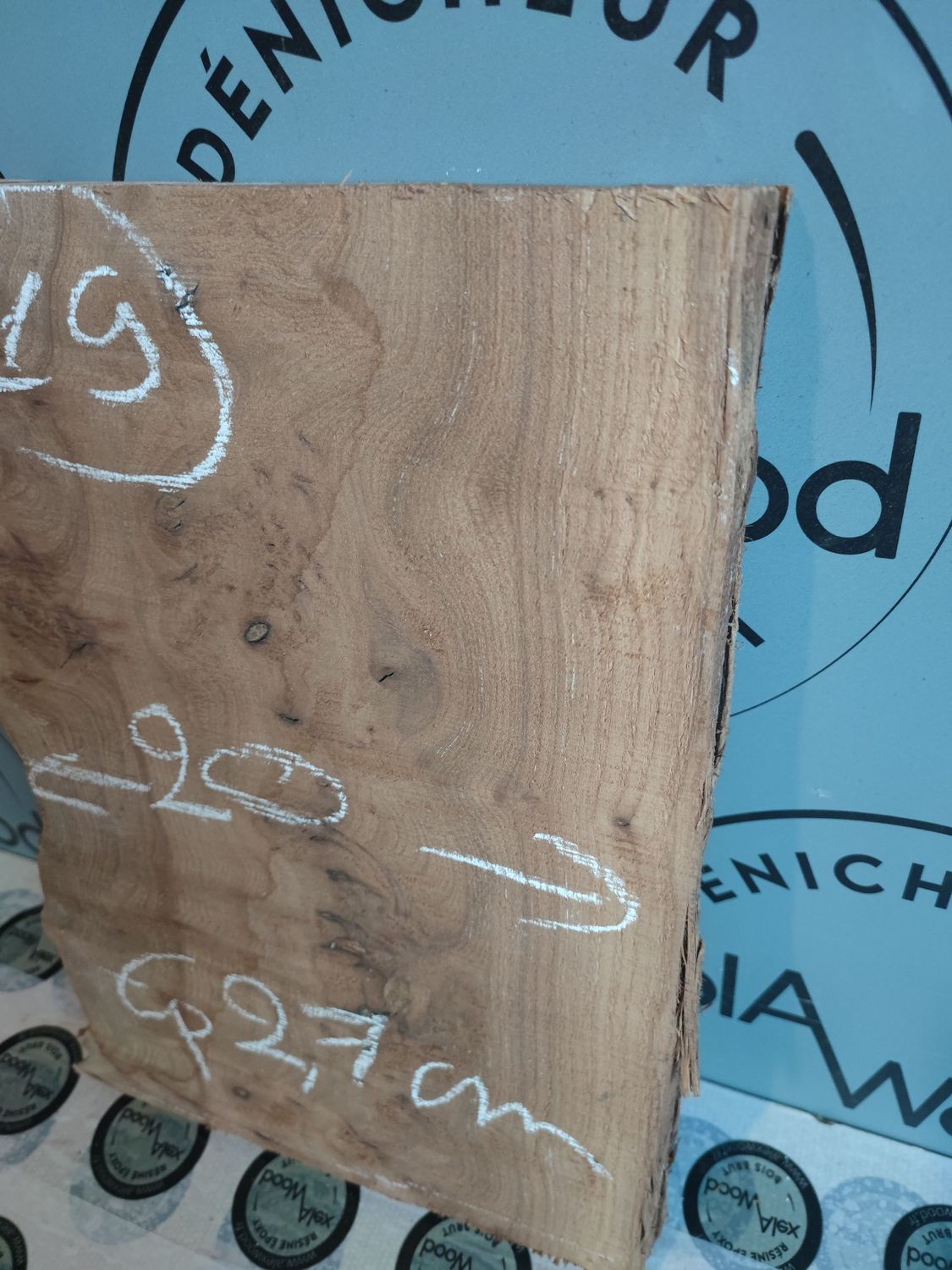 Petite planche loupe d’orme – Bois brut unique