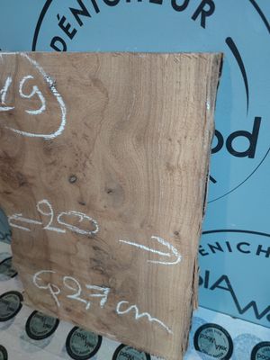 Petite planche loupe d’orme – Bois brut unique