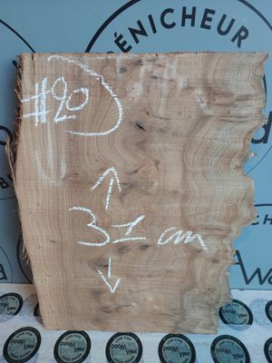 Loupe d’orme – Planche brute pour DIY Loupe d’orme – Planche brute pour DIY