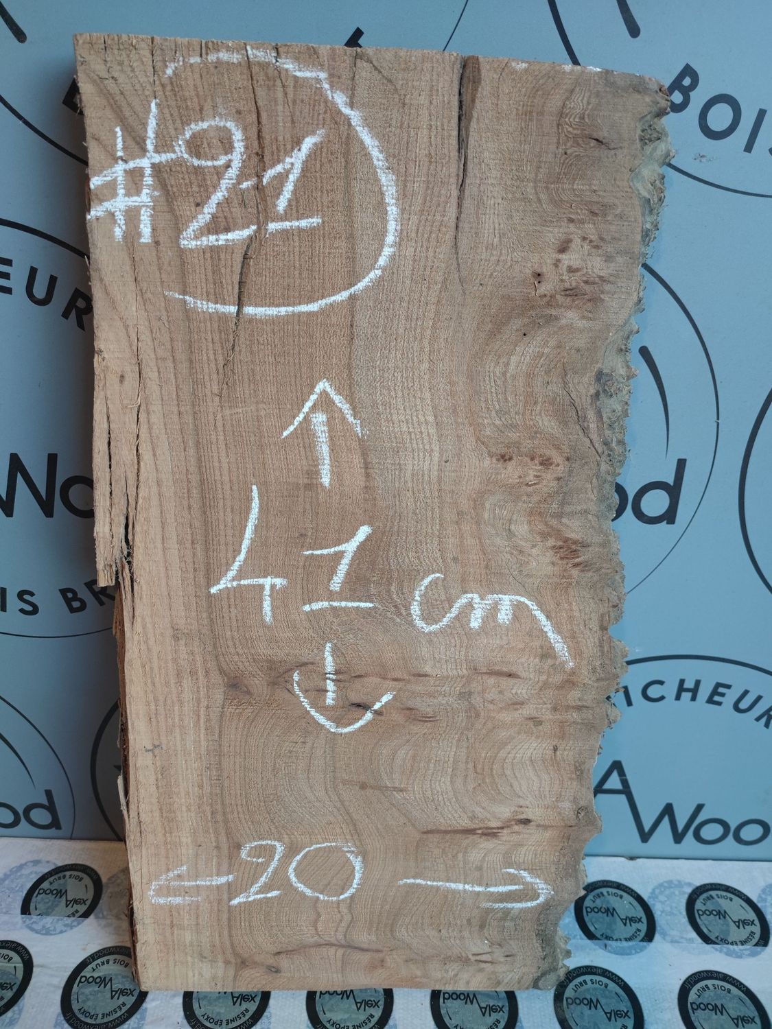 Planche bois brut loupe d’orme