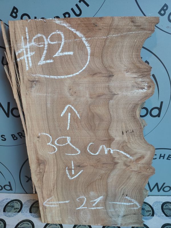 Planche bois brut loupe d’orme pour projet créatif