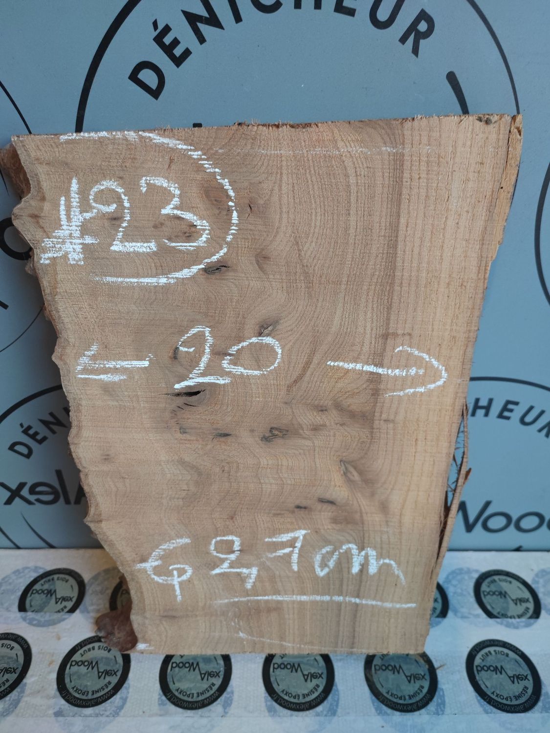 Planche loupe d’orme – Bois brut pour créations
